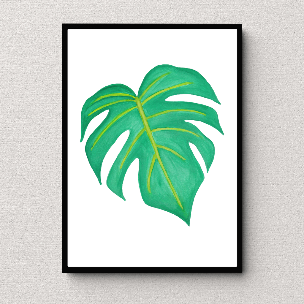 Poster Monsera deliciosa