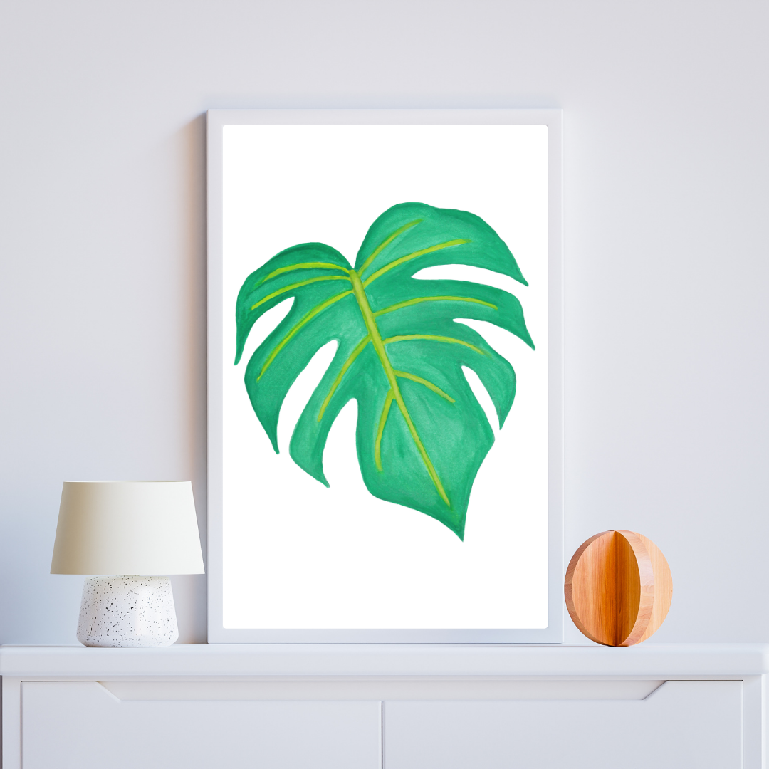 Poster Monsera deliciosa