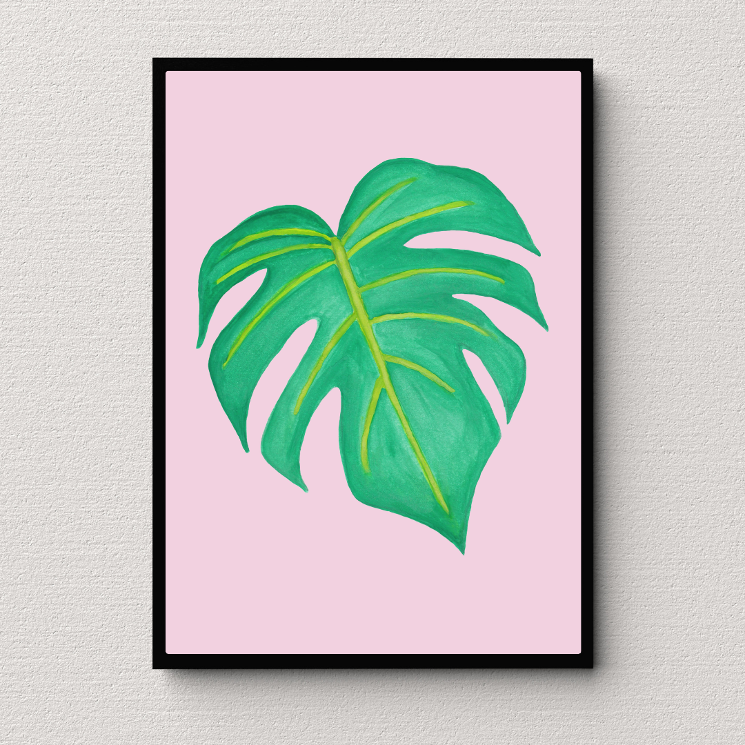 Poster Monsera deliciosa su sfondo rosa